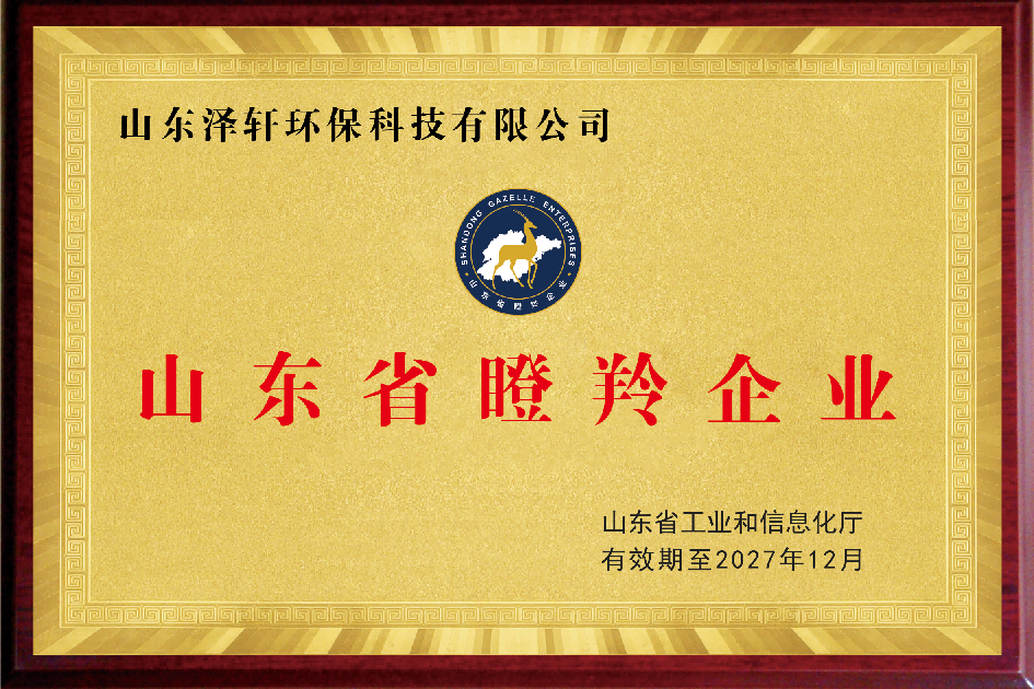 荣誉证书一